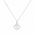 Shell - Necklace
